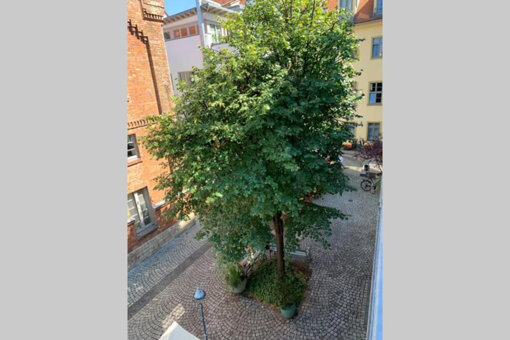Altstadt, FEWO im Markthof am Dom Erfurt Exterior foto